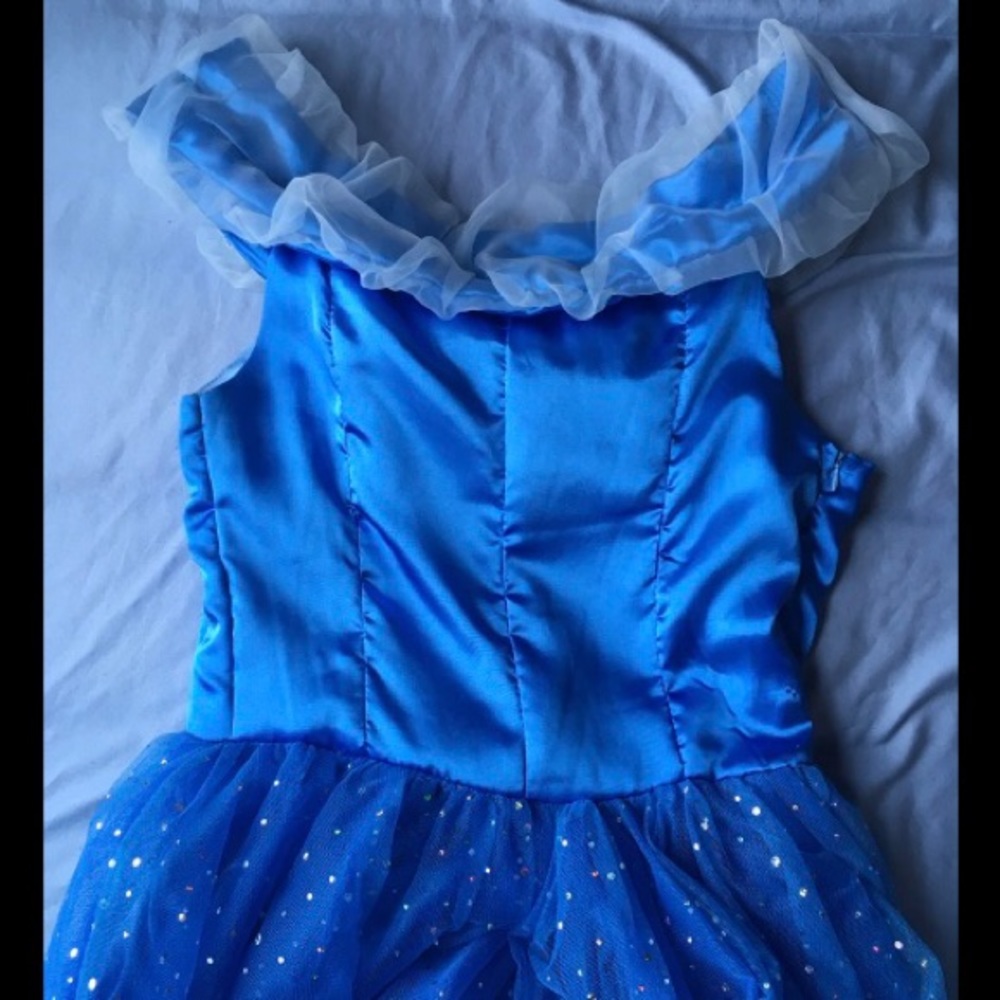 CINDERELLA COSTUME!